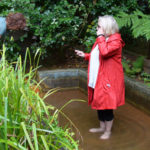 The-Chalice-Well