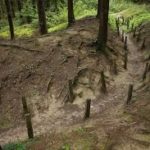 images-25