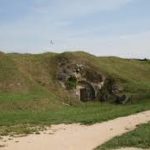 images-33