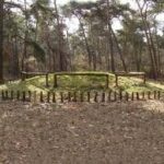 images-1